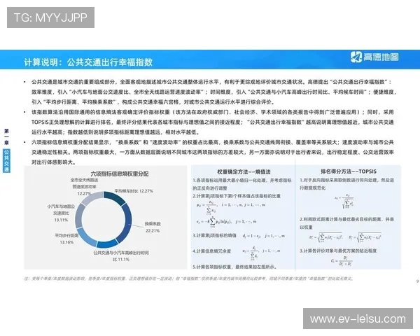大型赛事交通组织方案优化,智能调度减少对城市运行影响。