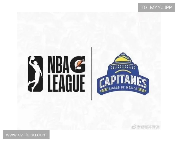 NBA G联赛扩军计划推进,二月底将公布新球队名单